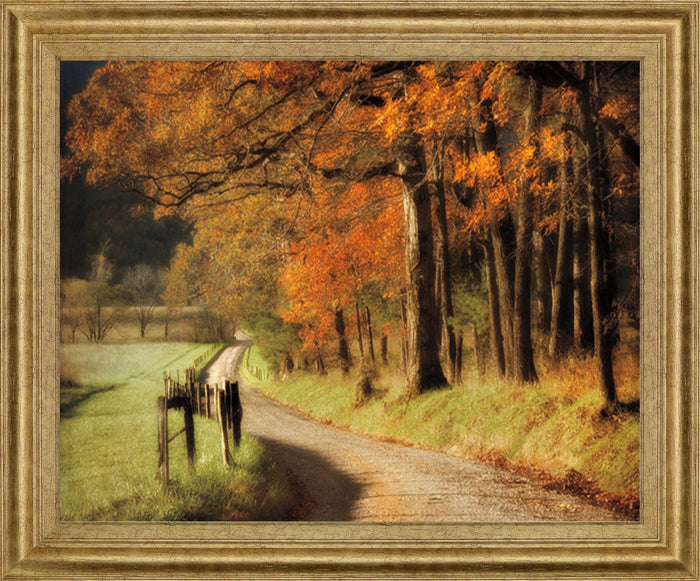 Amber Forest Pathway - 28" x 34" Framed Wall Art - Orange