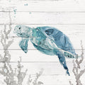 Aqua Turtle II By Carol Robinson - Beige