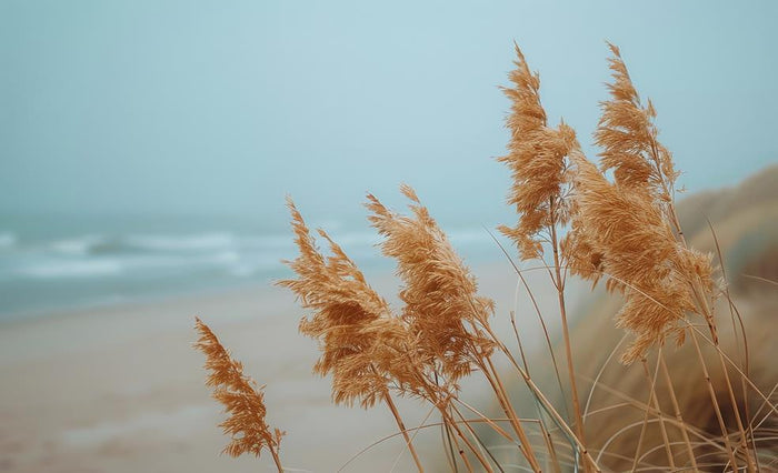 Blowing In The Wind - Light Blue