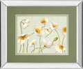 Bright Poppies By Novak - Mirror Framed Print Wall Art - Beige