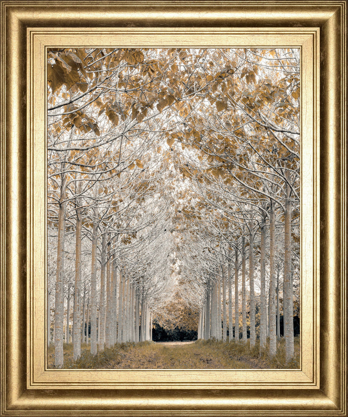 By Assaf Frank - Framed Print Wall Art - Light Brown