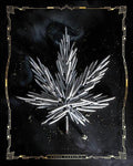 Carpe Cannabis By JG Studios - Dark Gray