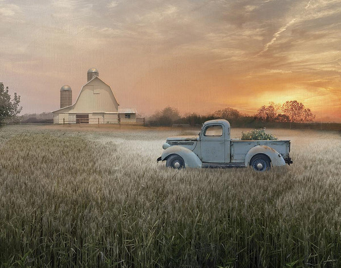 Evening Farm By Nan - Light Brown
