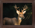 Forest Sentinel - 28" x 34" Framed Wall Art - Dark Brown