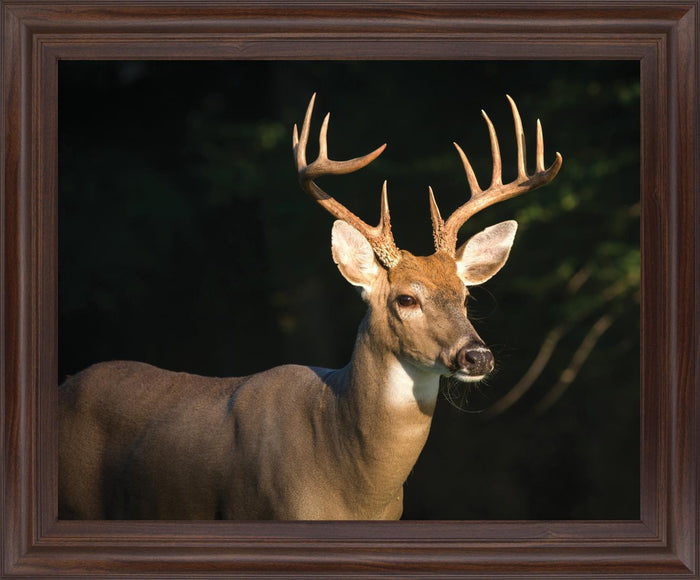 Forest Sentinel - 28" x 34" Framed Wall Art - Dark Brown