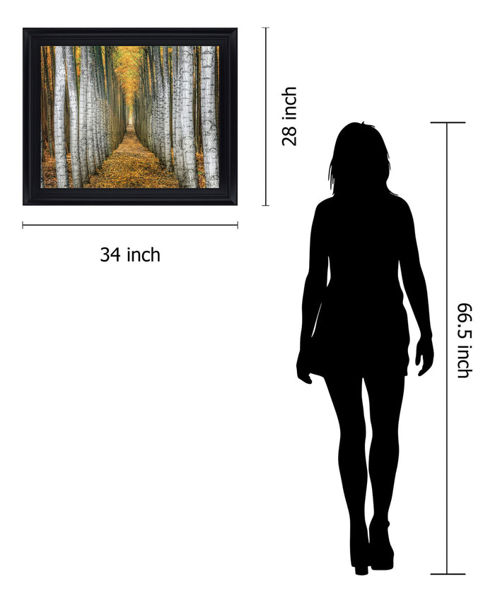 Golden Birch Passage - 28" x 34" Framed Wall Art - Yellow