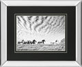 Horse Run III By PHBurchett - Gray