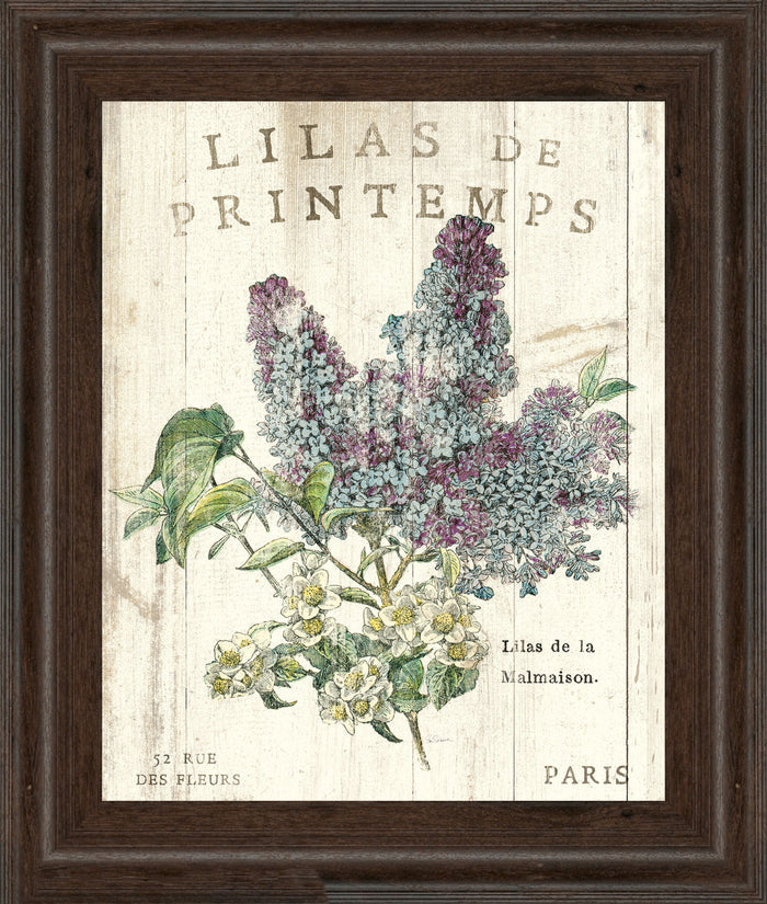 Lilas De Printemps By Sue Schlabach - Beige
