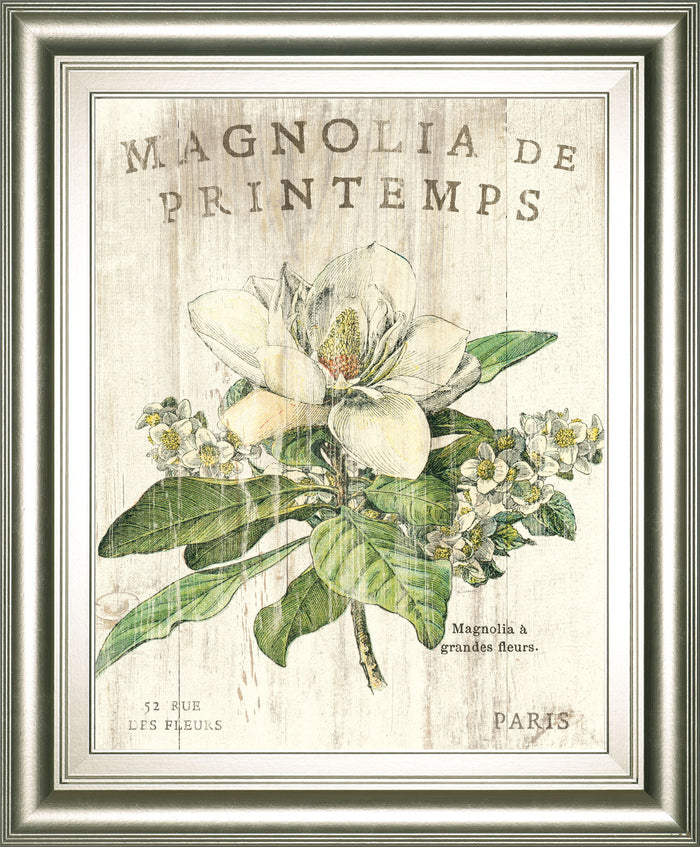 Magnolia De Printemps By Sue Schlabach - Beige