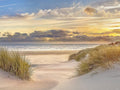 Sand Sunset By Mike Calascibetta - Beige