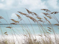 Solitude Beach By Danita Delimont - Light Blue