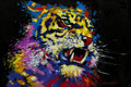 Tiger By E. Anthony Orme - Black