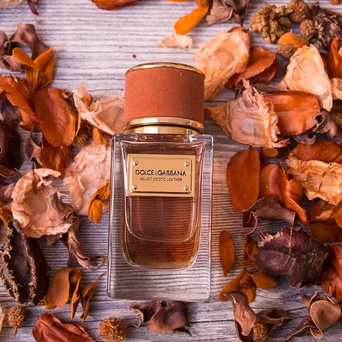 VELVET EXOTIC LEATHER EAU DE PARFUM PERFUME by DOLCE & GABBANA at Sundora