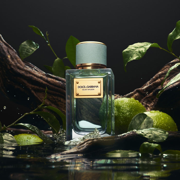 VELVET INFUSION EAU DE PARFUM PERFUME by DOLCE & GABBANA at Sundora