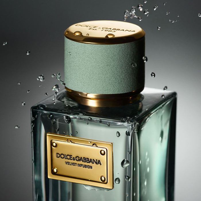 VELVET INFUSION EAU DE PARFUM PERFUME by DOLCE & GABBANA at Sundora