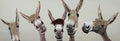 Whimsical Brows - 20" x 60" Framed Wall Art - Dark Brown
