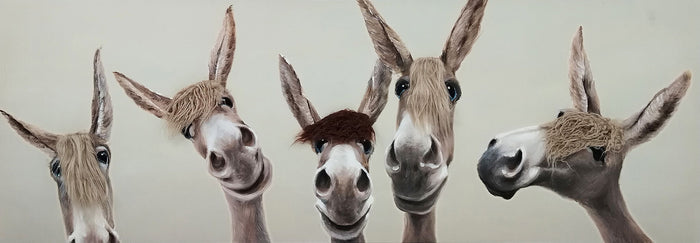 Whimsical Brows - 20" x 60" Framed Wall Art - Dark Brown