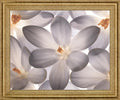 Whispering Blossom - 28" x 34" Framed Wall Art - Gray