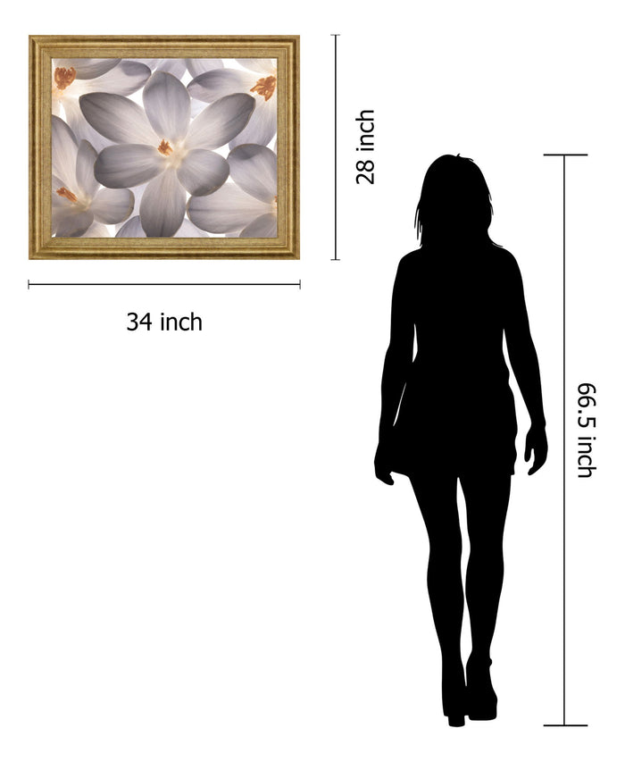 Whispering Blossom - 28" x 34" Framed Wall Art - Gray