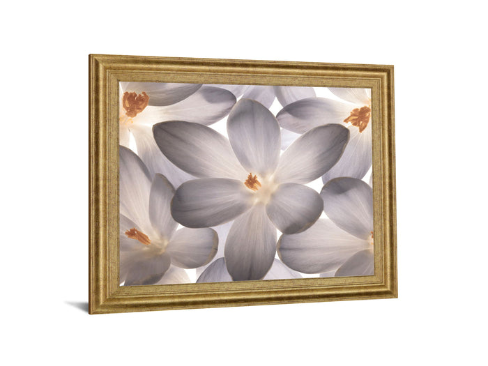 Whispering Blossom - 28" x 34" Framed Wall Art - Gray