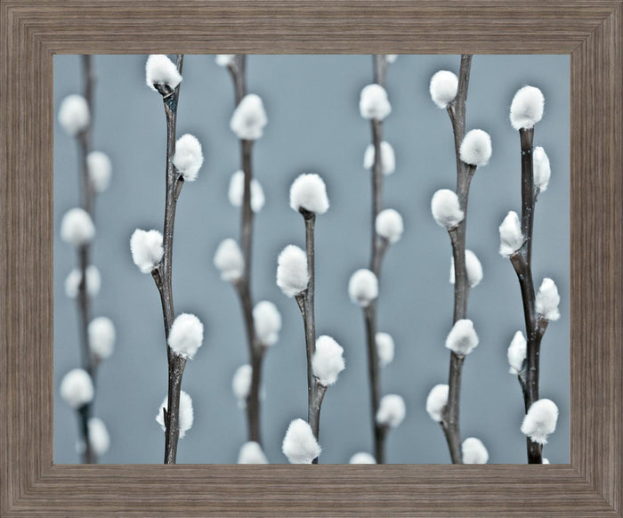 Winter Willow - 28" x 34" Framed Wall Art - Gray